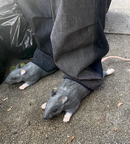 imran potato rat shoes